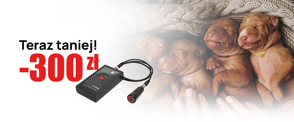 jak najłatwiej wykryć ciążę u psów