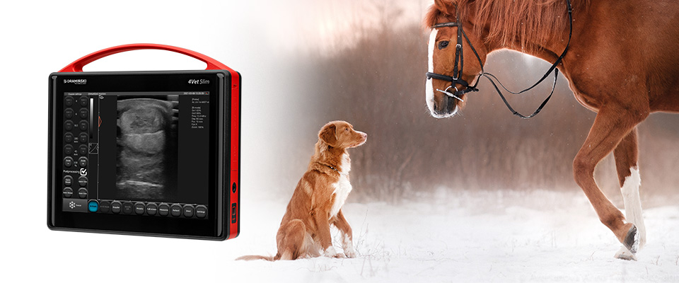 ultrasonograf weterynaryjny dla lekarzy weterynarii