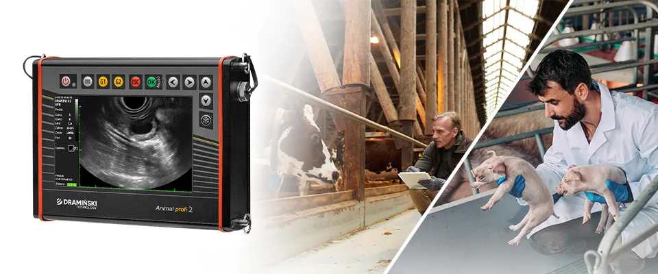 ultrasonograf diagnostyka owiec, kóz, świń i bydła w zakresie rozrodu